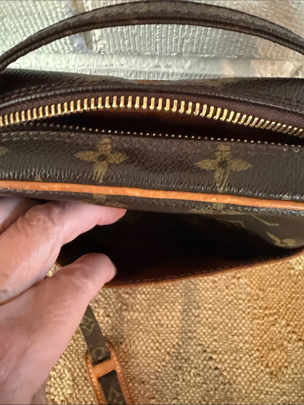 LV Monogram Danube